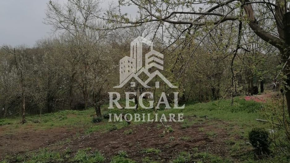 Casă de vânzare în Cerisor – liniște, natură și teren generos! - Poză 5