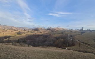 Oaza de liniste si frumusete, reconectare cu natura, 16.000 mp, Poiana Marului - Poză 14