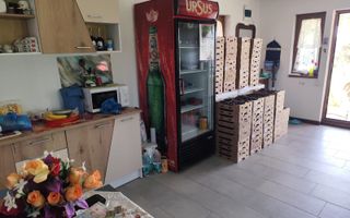 Plantatie de Muri Baicoi 10.000 mp Afacere la cheie! - Poză 4