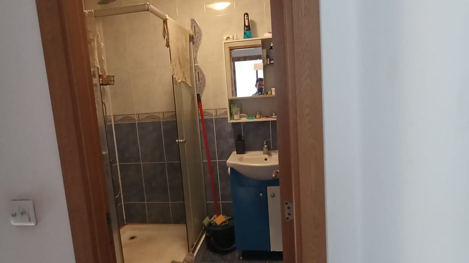 Doamna Ghica Colentina - Poză 4