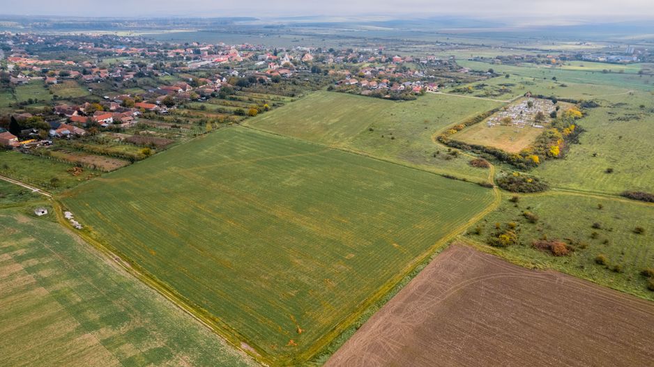 Teren de 50.000mp în Pișchia - Poză 3