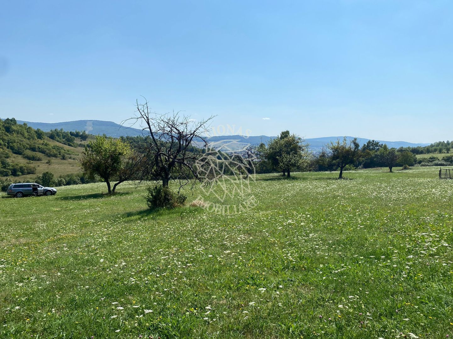 Teren 11.000 mp-ideal cabana/ferma-Unirea-Valea Slatinitei - Poză 2