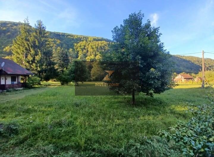 Teren de vis de vanzare in Remeti-Bihor-27p0 mp - Poză 9