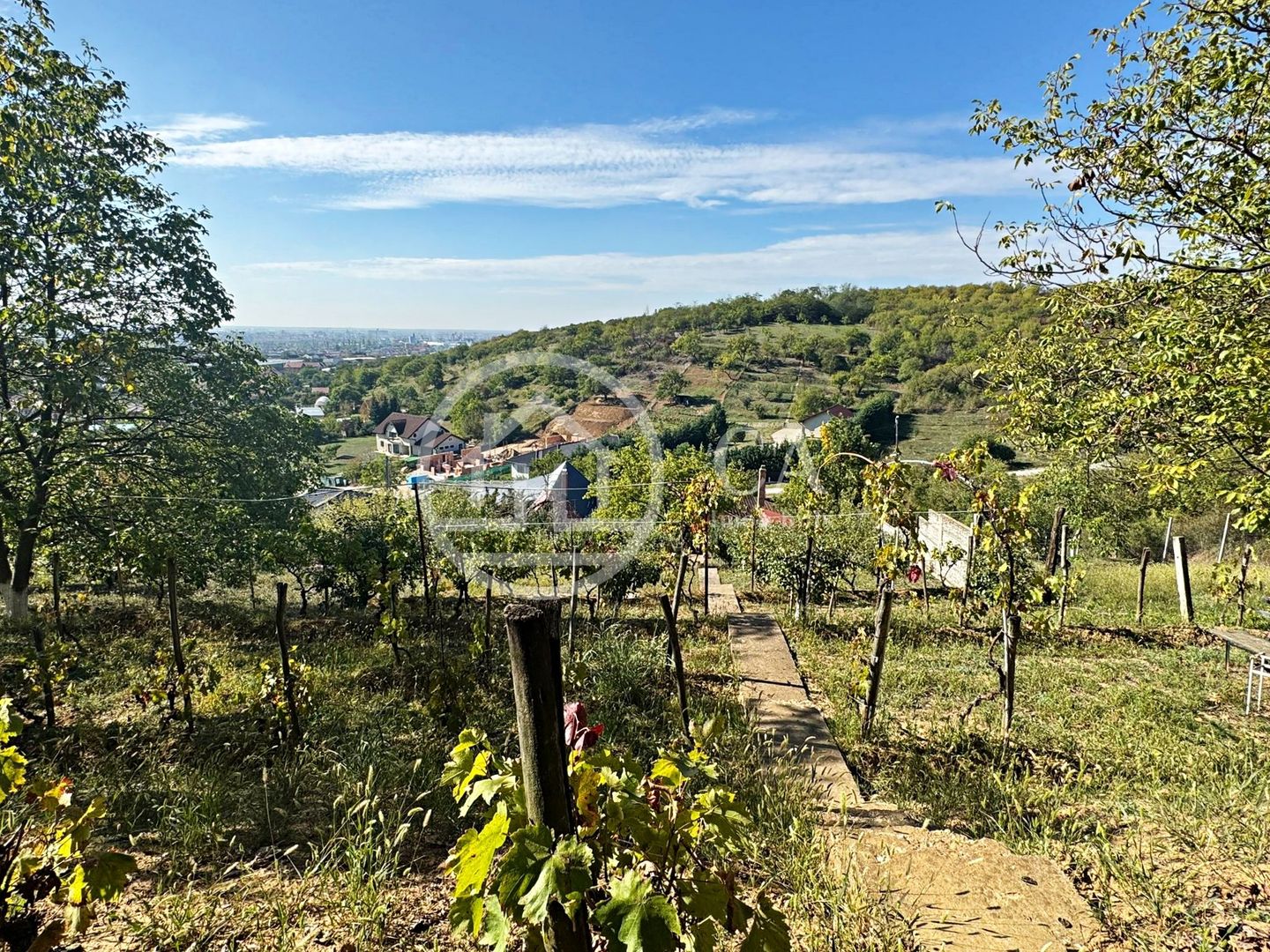 Casa de vanzare cu 3 camere in Oncea, Oradea - Poză 16