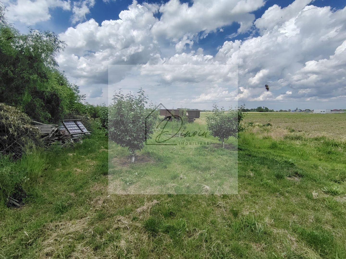 Teren intravilan Ciocanesti Cretu - 9282 mp divizat in 15 loturi - Poză 6