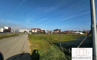 Torontalului Teren Intravilan 4200mp front 37 - Poză 2