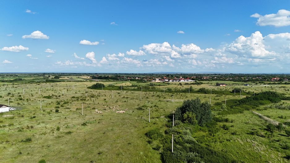 Terenuri zona  MOSNITA NOUA -  ALBINA  STR STEFANESTI - Poză 18