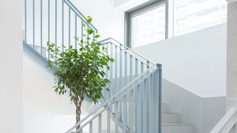 Prima Vista - Poză 17