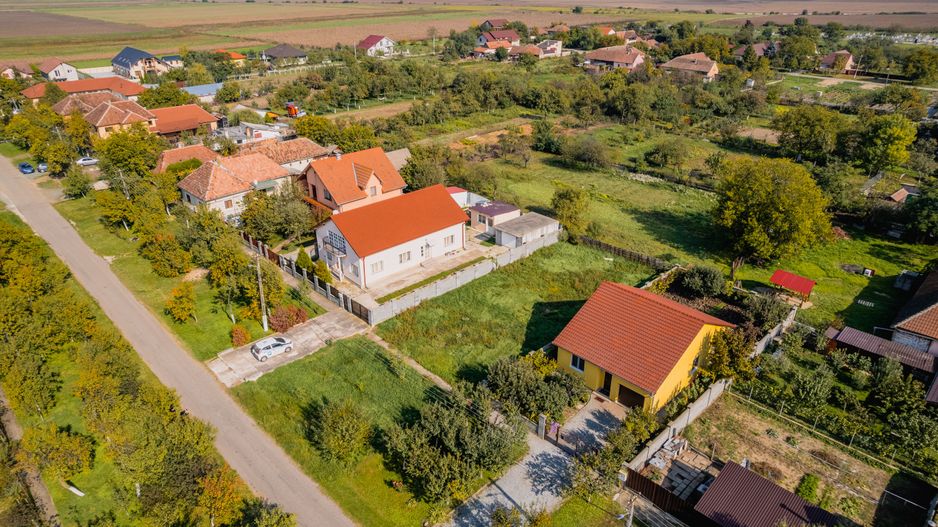 Teren de vânzare în Cicir - Poză 4