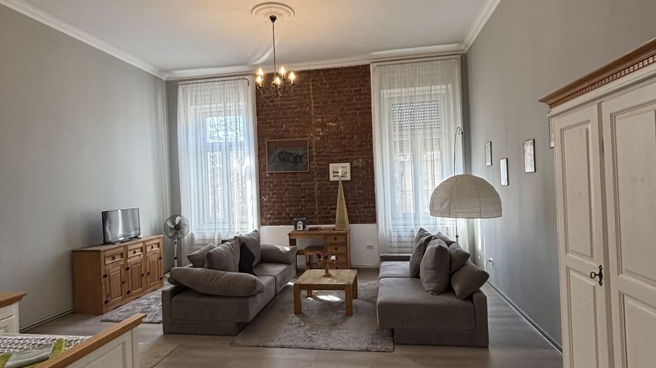 Apartament cu o camera în clădire istorică ,zona Maria - Poză 21