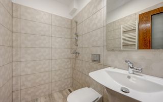 Vila de inchiriat Erou Iancu Nicolae - Poză 43