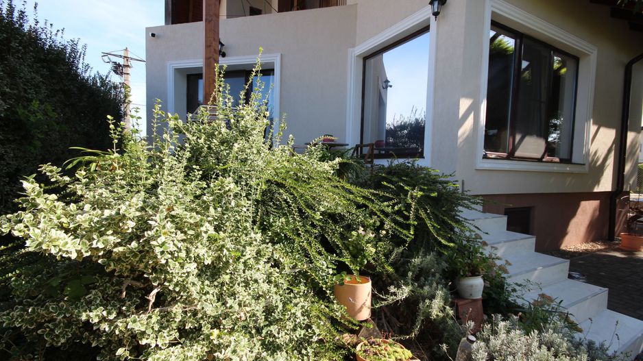 Clasica si primitoare - Poză 6