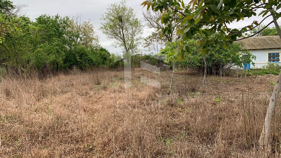 Teren intravilan 2562mp Loc 23 August | Ideal locuiță sau casă vacanță - Poză 9