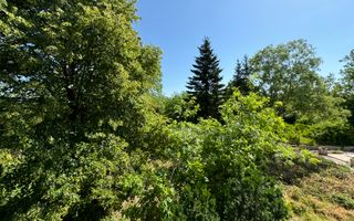 Vila cu 13 camere *4000mp teren* / Piscina / Snagov - Poză 59