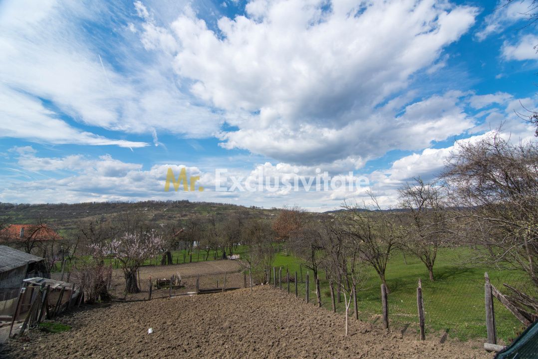 Casa gata de mutat+teren 1000 mp in Mihaesti,jud. Arges - Poză 16
