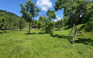 TEREN INTRAVILAN 3477 MP STOENEȘTI BĂDENI ARGEȘ - Poză 17