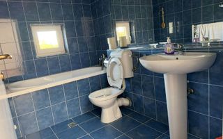 Casa tip duplex de inchiriat, Buna Ziua - Poză 9