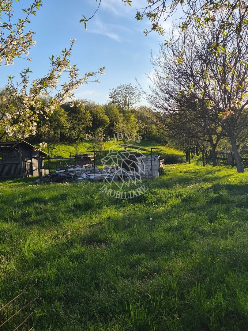 Teren intravilan 1997 mp-Parcelabil-ideal casa-Ghinda - Poză 1