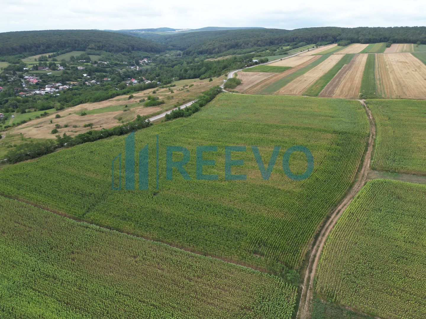 Teren de 3.600 mp Racova - Poză 8