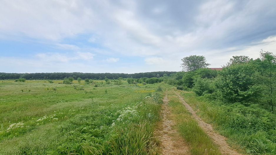 Loturi de teren intravilan 300 mp - Andronache - Poză 1