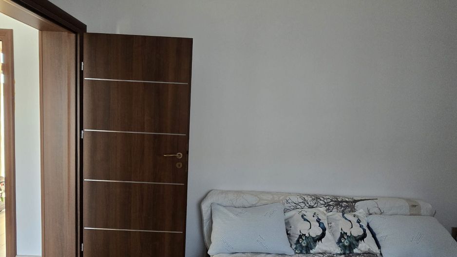 Casa Constructie Noua Les + Teren 4900 MP - Poză 13