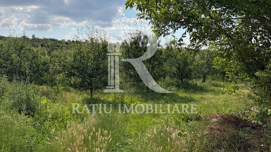 Activ agricol integrat | 67,5 ha | Oportunitate investițională - Poză 16