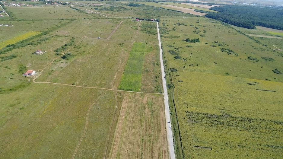 TEREN ZONA PADUREA BISTRA 726 MP - Poză 7