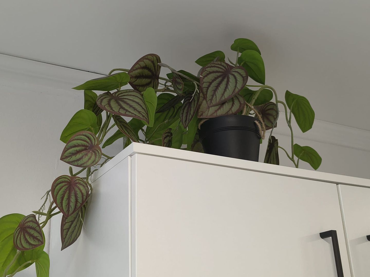 Chirie, 2 camere, West Residence. 430 E/lună (neg). Comision 0 - Poză 15