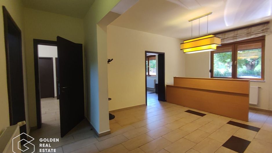 Spatiu cu multiple destinatii, 4 camere, locuri de parcare, Intim - Poză 1