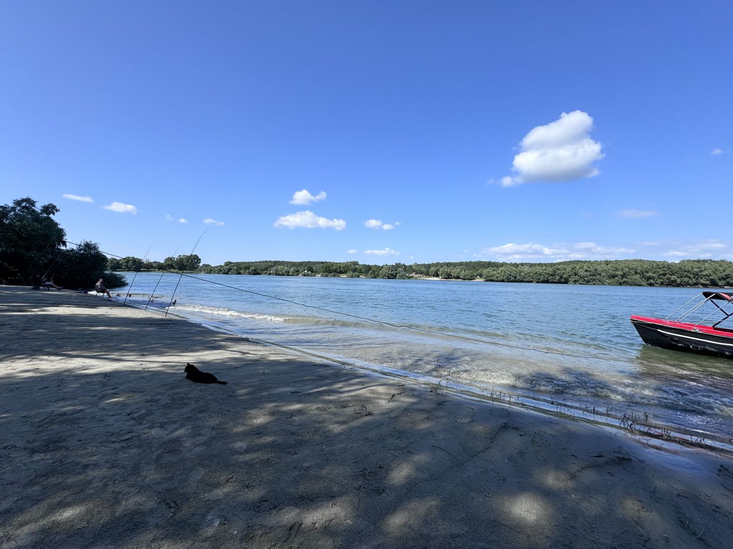 Hotel 25 camere 100 m deschidere DELTA DUNARII teren 12000 mp acces auto - Poză 1