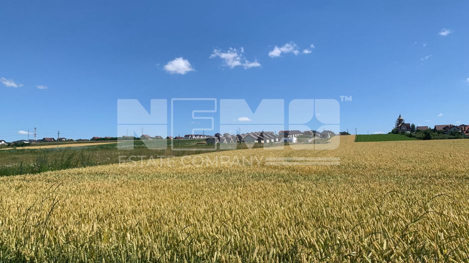 TEREN INTRAVILAN – SF. ILIE| SUCEAVA | 3.500 €/ar - Poză 2