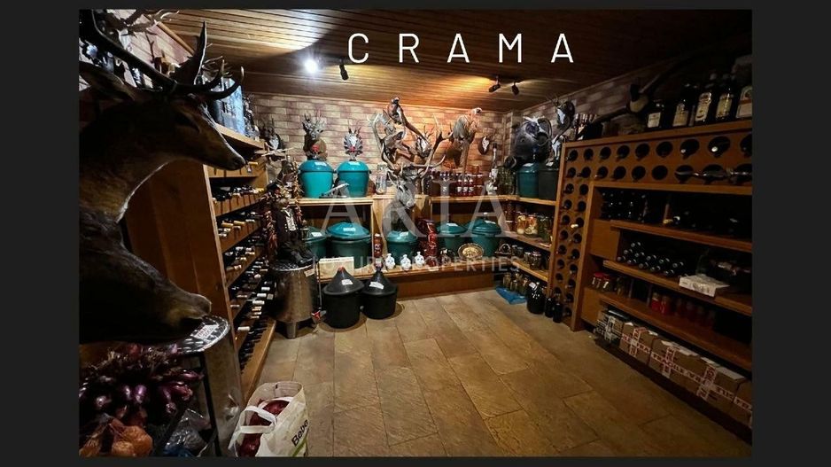 Vila grandioasa, Gradina Japoneza, SPA, Crama, Teren Tenis, Foisor, Iaz Pesti - Poză 8