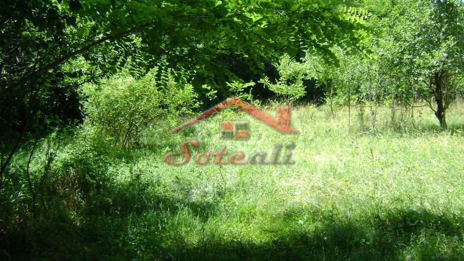 Teren de vanzare in Cornu 1585 mp - Negociabil - Poză 5