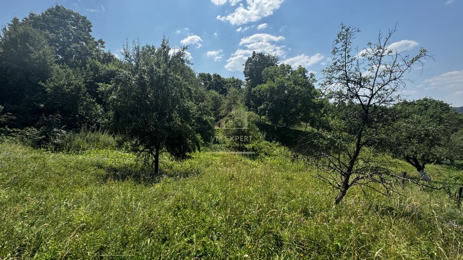 TEREN INTRAVILAN 2146 MP, ALBESTII DE MUSCEL, ARGES - Poză 12