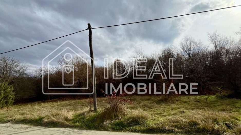 Teren extravilan 1030 mp, Cârțișoara - Poză 3