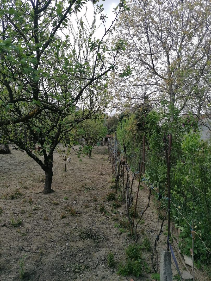 Ag EUROPA vinde casa 6 cam teren 11 ari în zona 14 Mai. - Poză 5