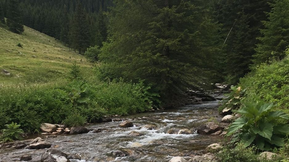 Teren cu acces la râu în Stejar – ideal pentru cabane sau retreat - Poză 6