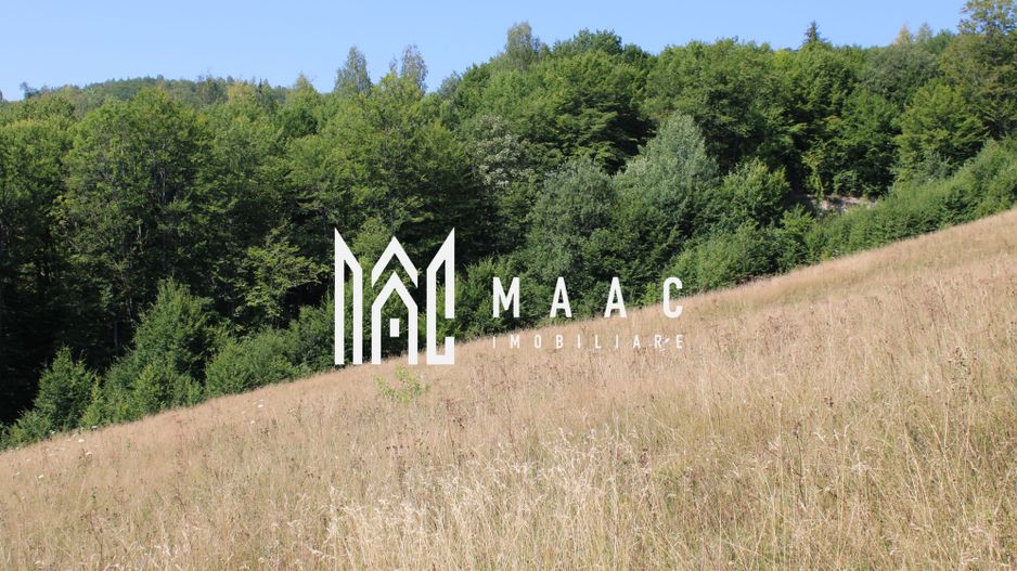 Terenuri Carpinis I parcelabil I Curent pe proprietati - Poză 63
