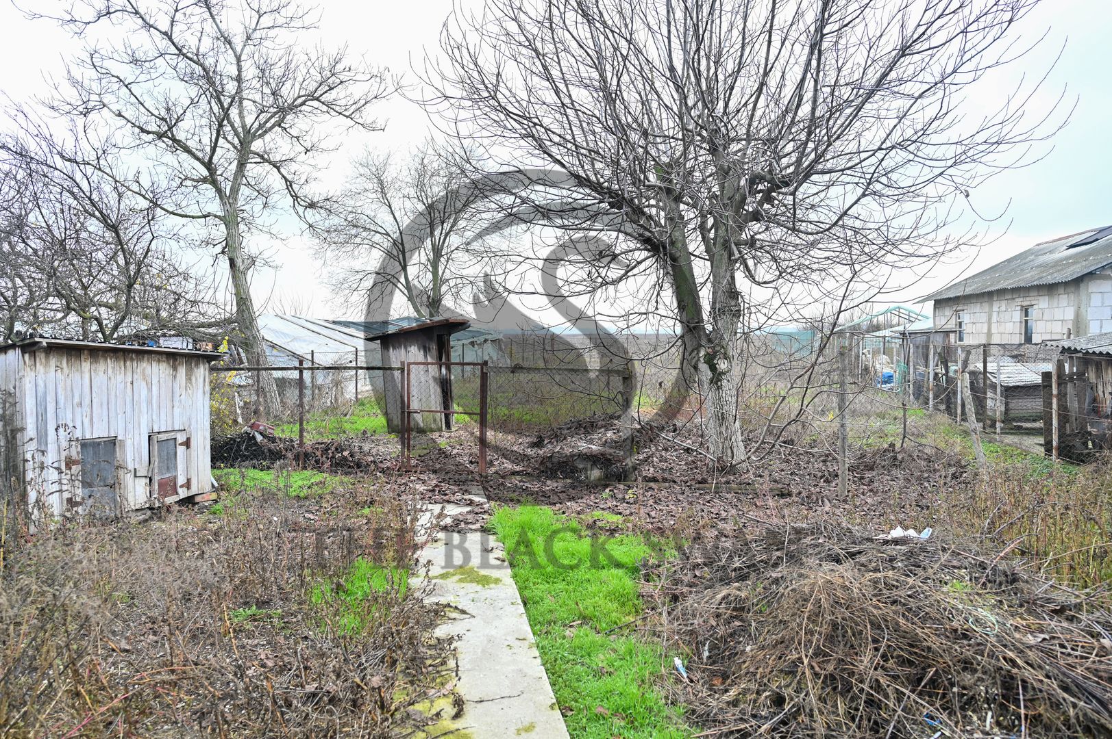 Casa de vanzare | 970 mp Teren | Puchenii Mari, Prahova | Comision 0% - Poză 3