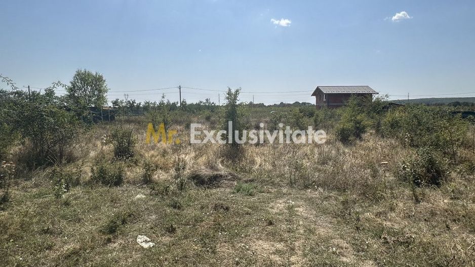 Teren Intravilan Magic Trivale - Aleea Bradului  1040 mp - Poză 1