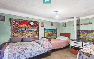 Casă cu teren 4065mp în Dorobanți, județul Arad - Poză 6
