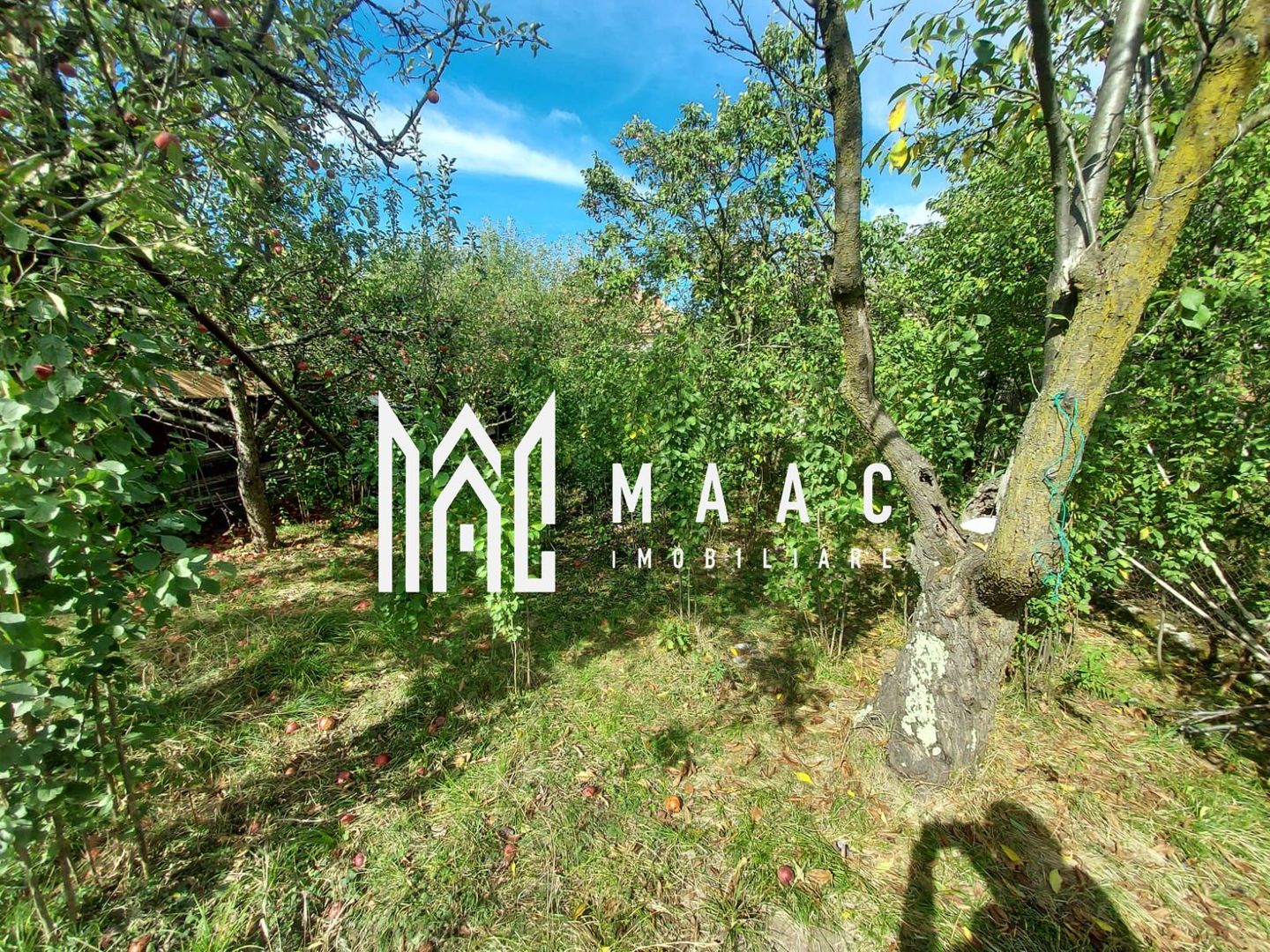 Casa 3 Camere | 67 MPU | 507 Teren | Calea Poplacii - Poză 17