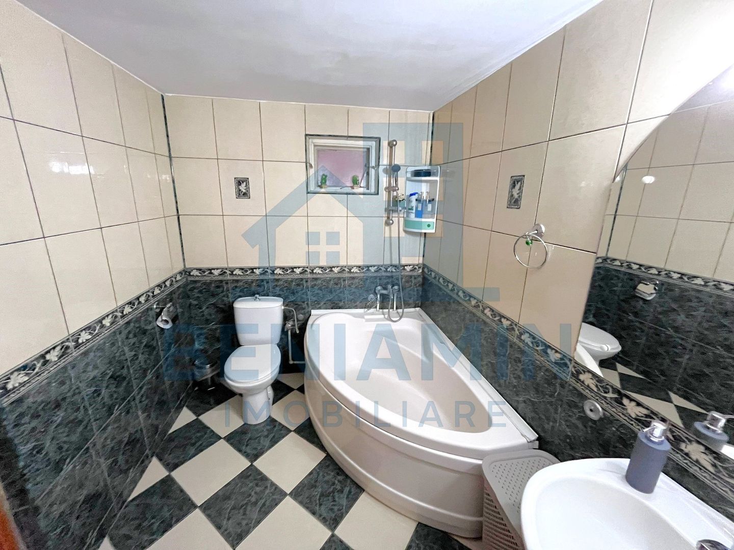 Casa de inchiriat Raului intersectie Campia Islaz -loc de parcare - Poză 12