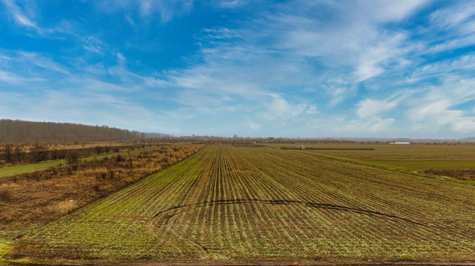 Teren intravilan 5040 mp, deschidere dubla - Poză 2