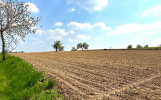 Teren Intravilan de Vânzare, Cetariu, 5450mp - Poză 3