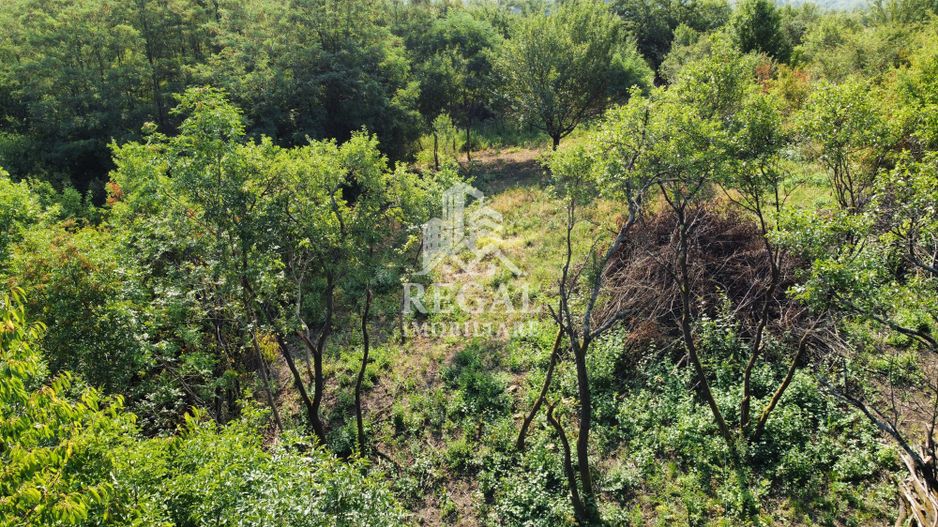 Teren intravilan de vânzare – 770 mp | Panoramă superbă asupra Lacului - Poză 5