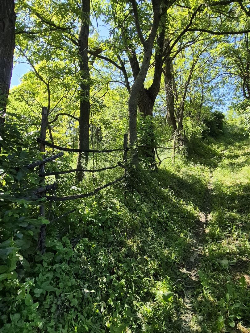 Teren intravilan 1290 mp Plaiu-Provita de Sus - Poză 3