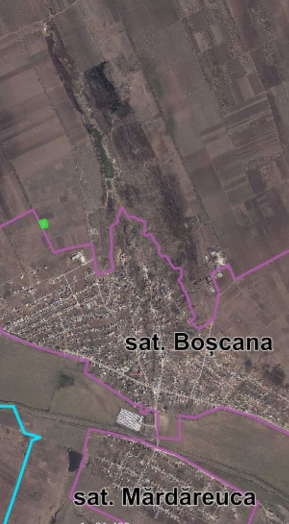 Teren agricol, Boșcana, 20 ari - Poză 6