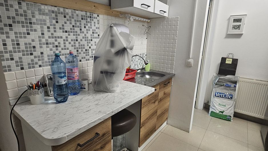 OCAZIE Spatiu Comercial Herastrau/Aviatiei - Poză 8