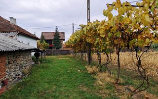 CASĂ SI TEREN BAIA DE FIER - Poză 5
